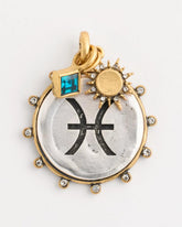 Mixed Metals Pisces Zodiac Charm Pendant