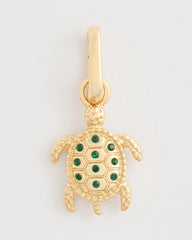 Multi Turtle Charm