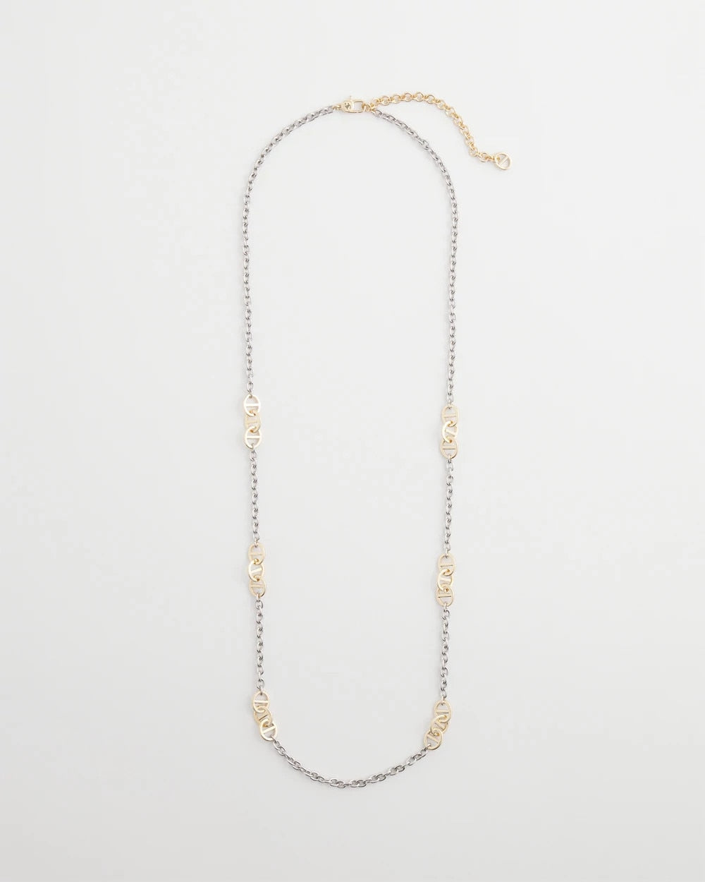 Mixed Metals Mixed Metal Link Long Necklace