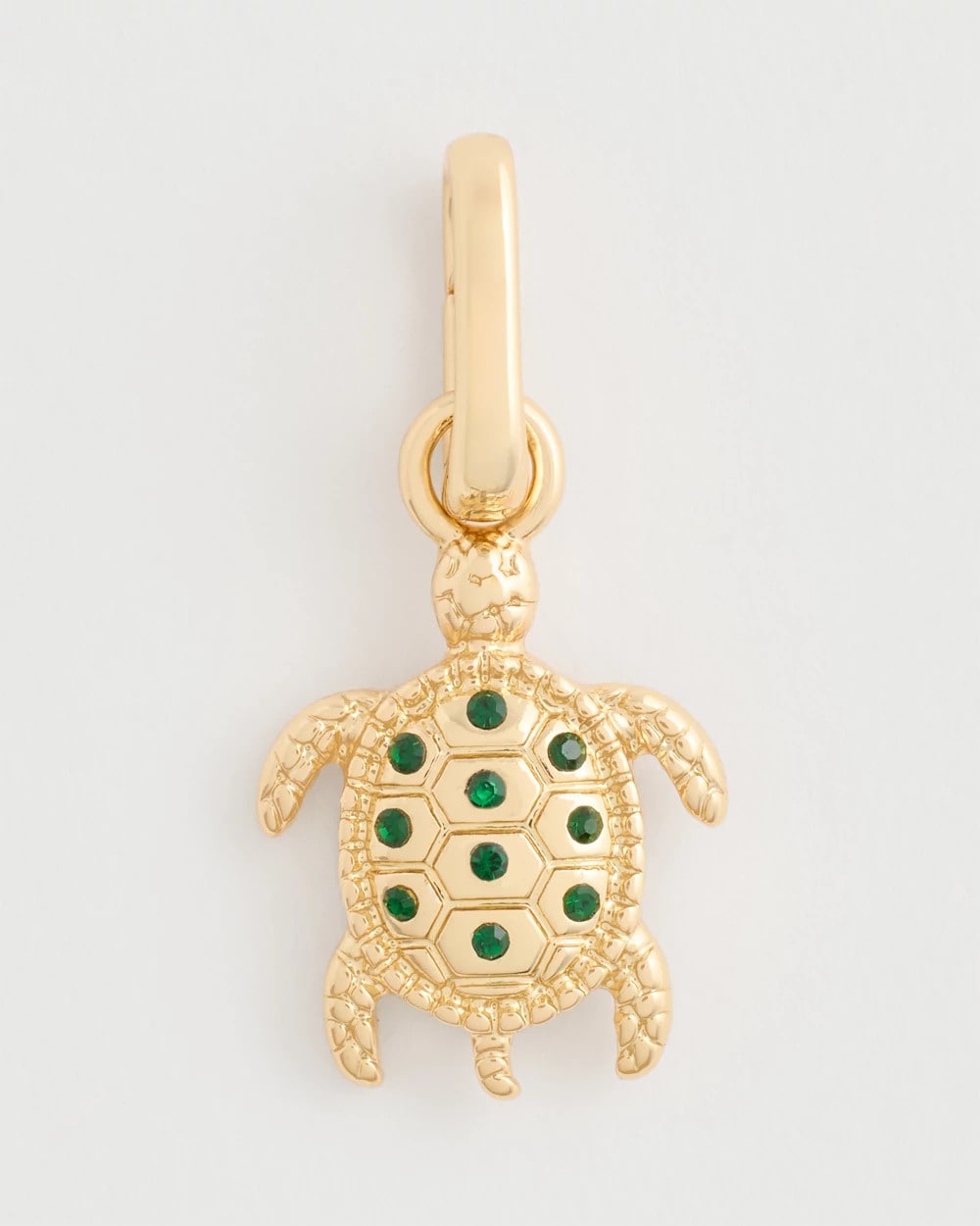 Multi Turtle Charm