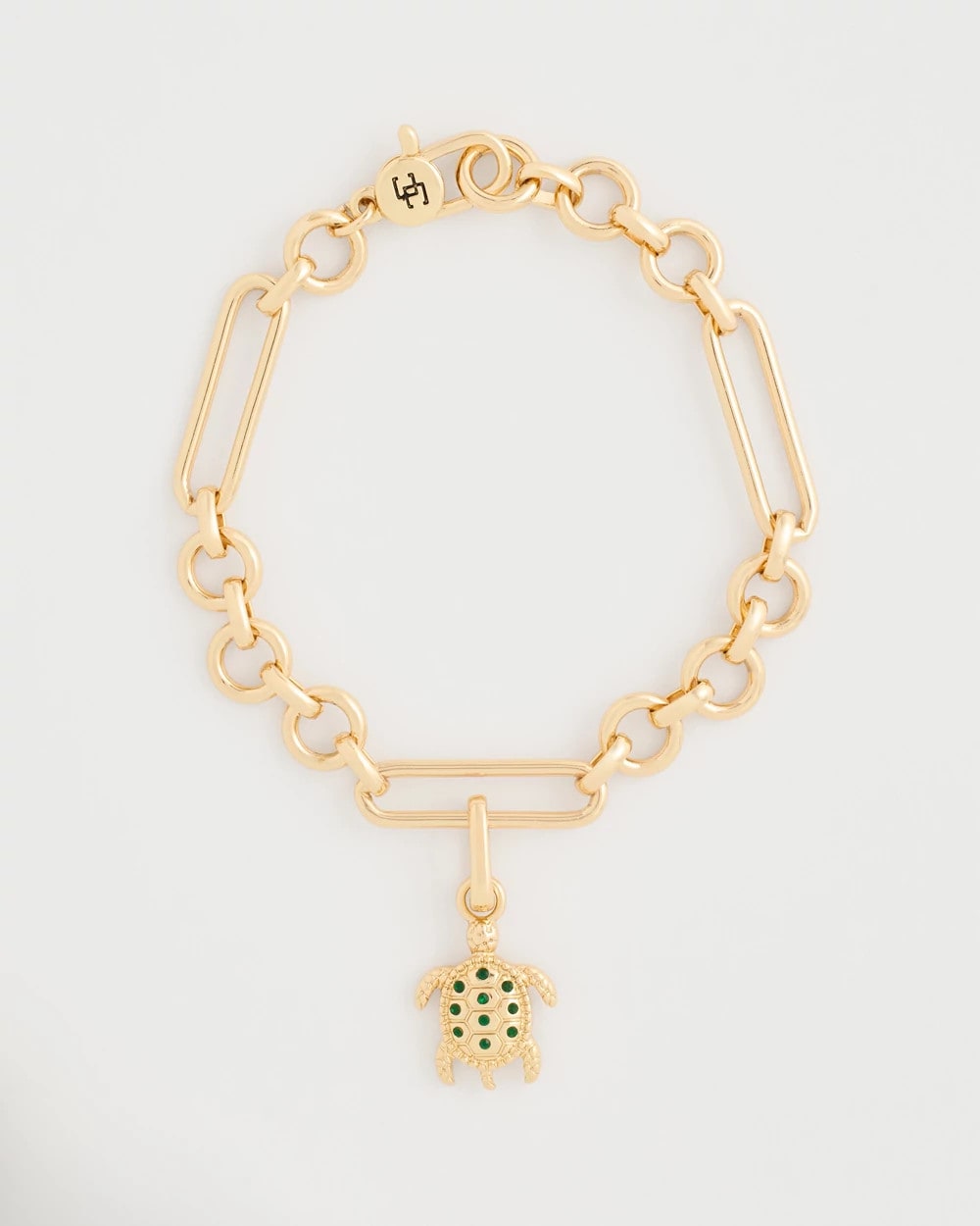 Multi Turtle Charm