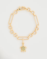 Multi Turtle Charm