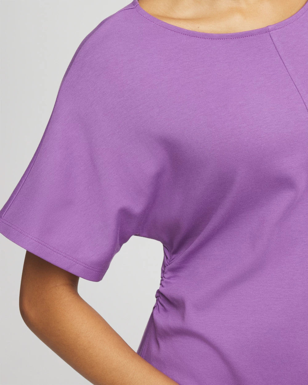Plum Shade Fit and Flare Cinched Waist Dress